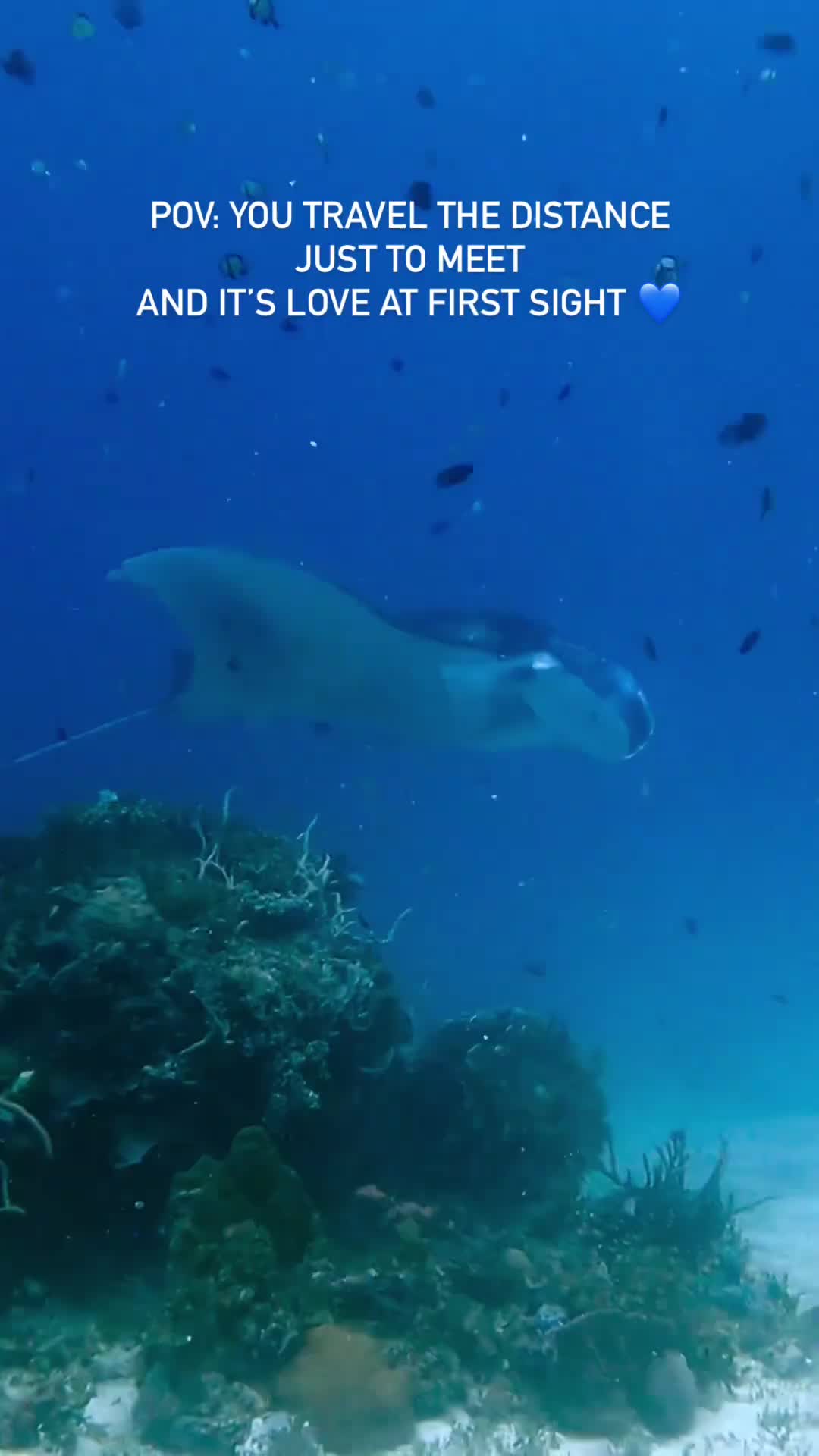 @Scuba Diving with Ara
