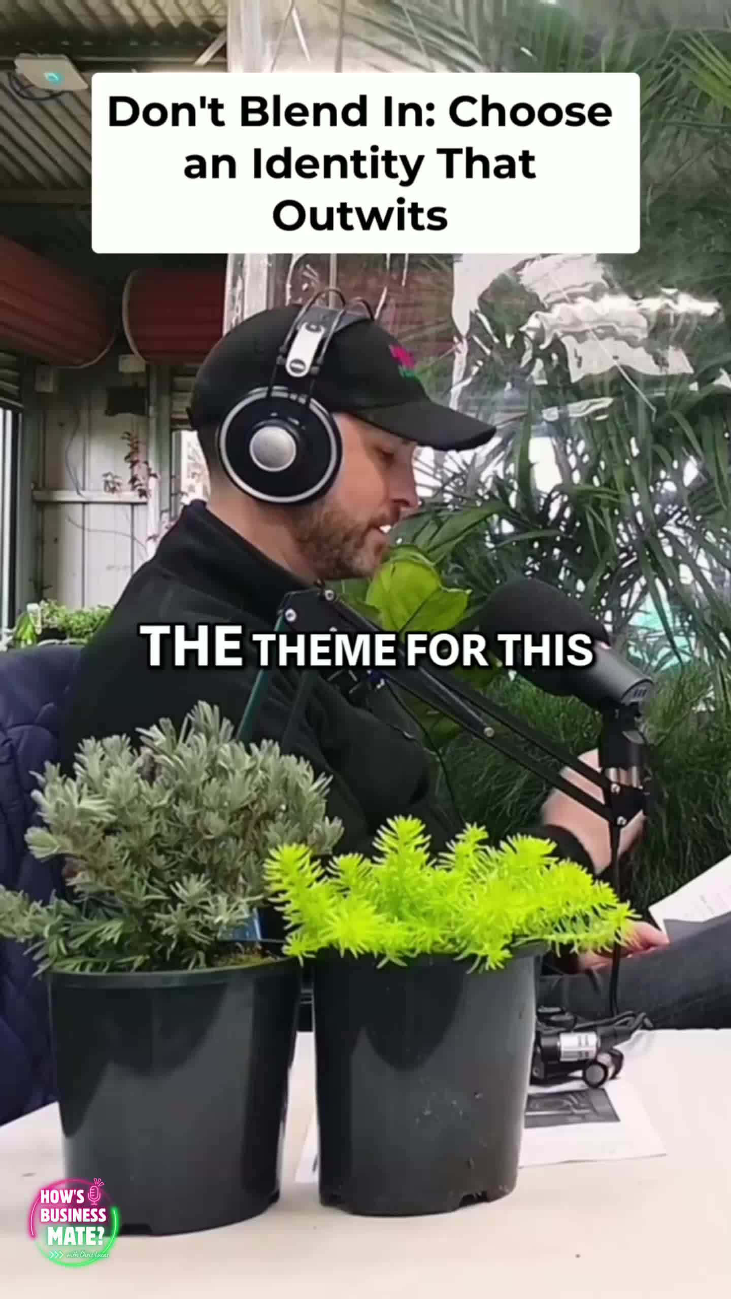 @Hello Hello Plants Nursery