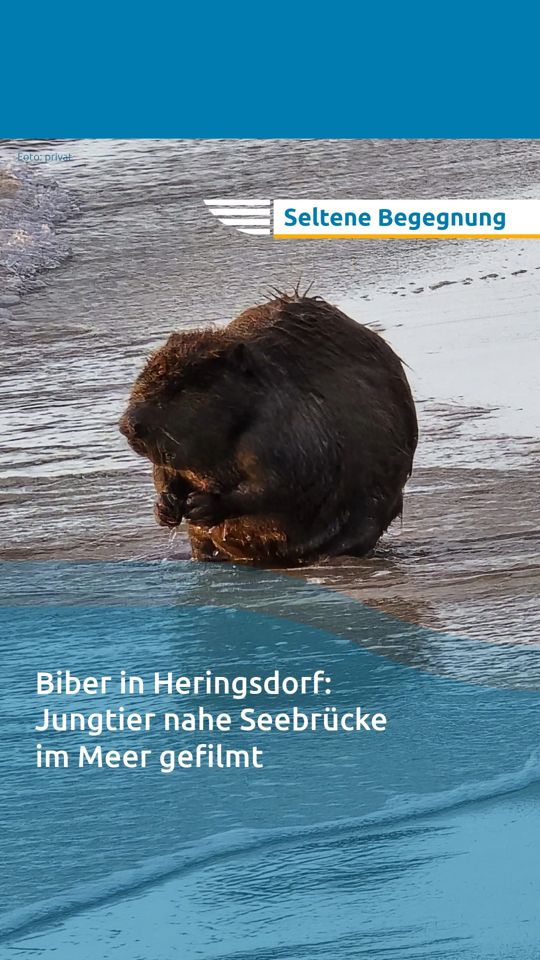 @Nordkurier
