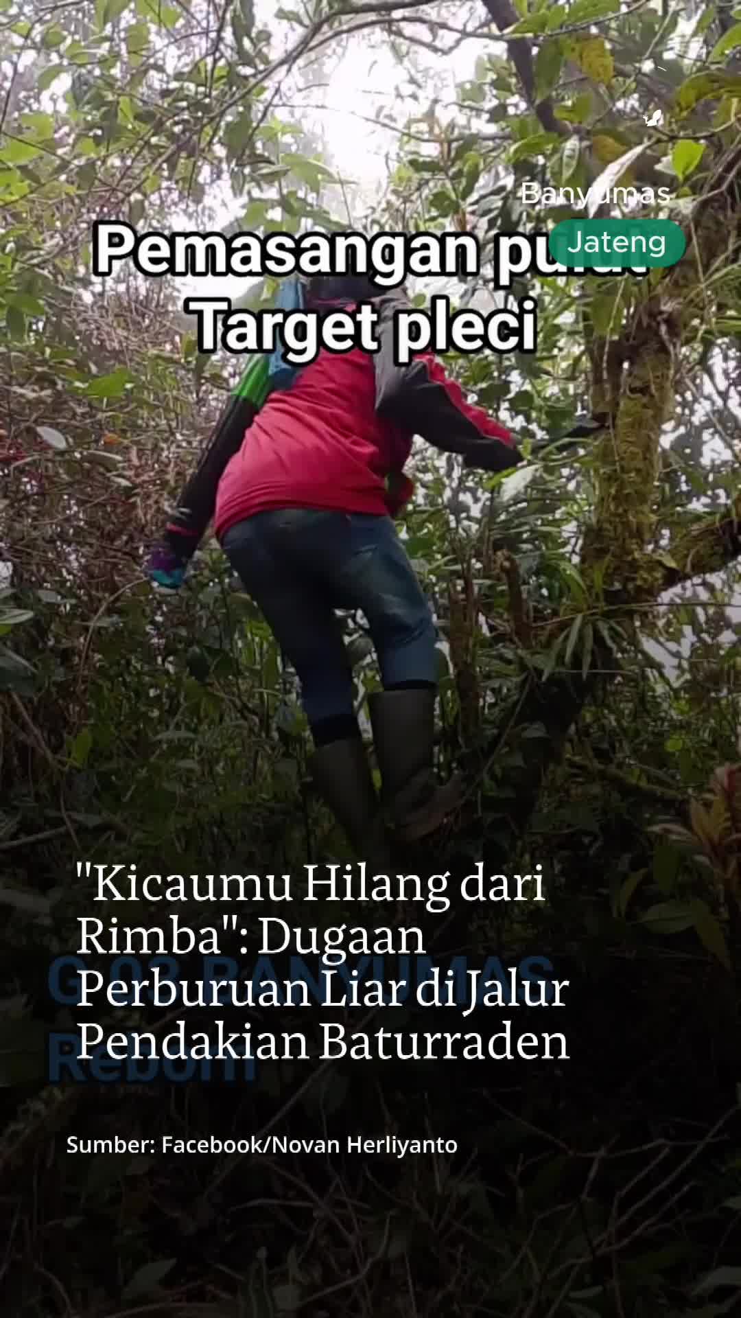 @mongabayindonesia