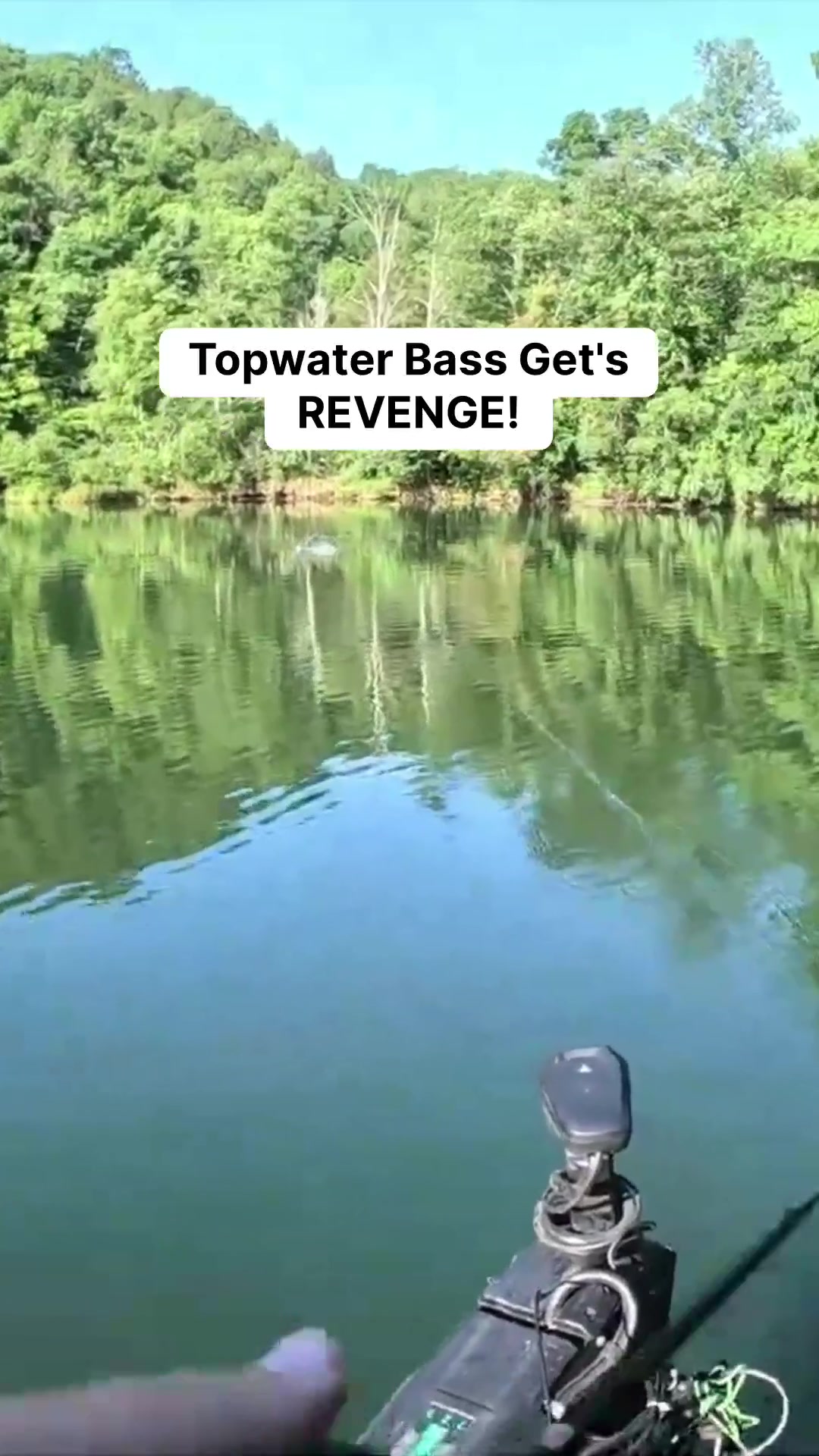 @bassgeek