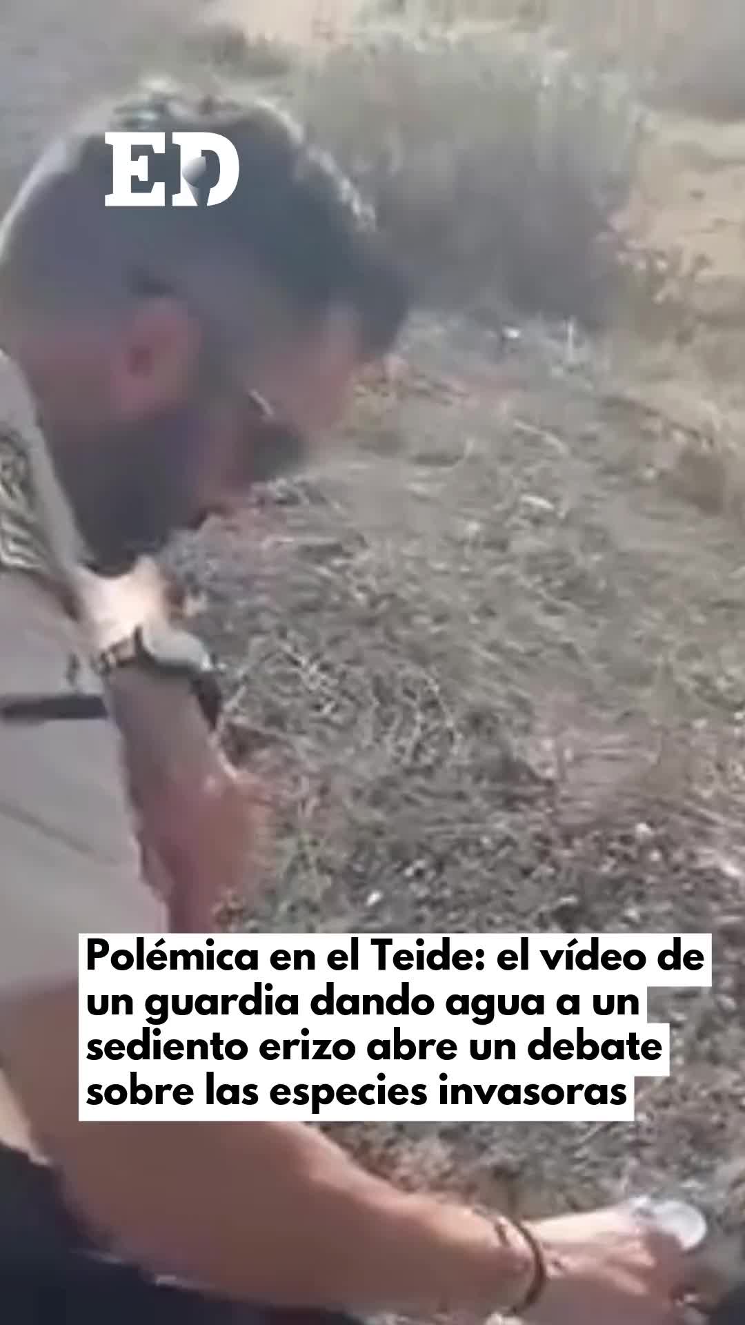 @El D&iacute;a - Tenerife