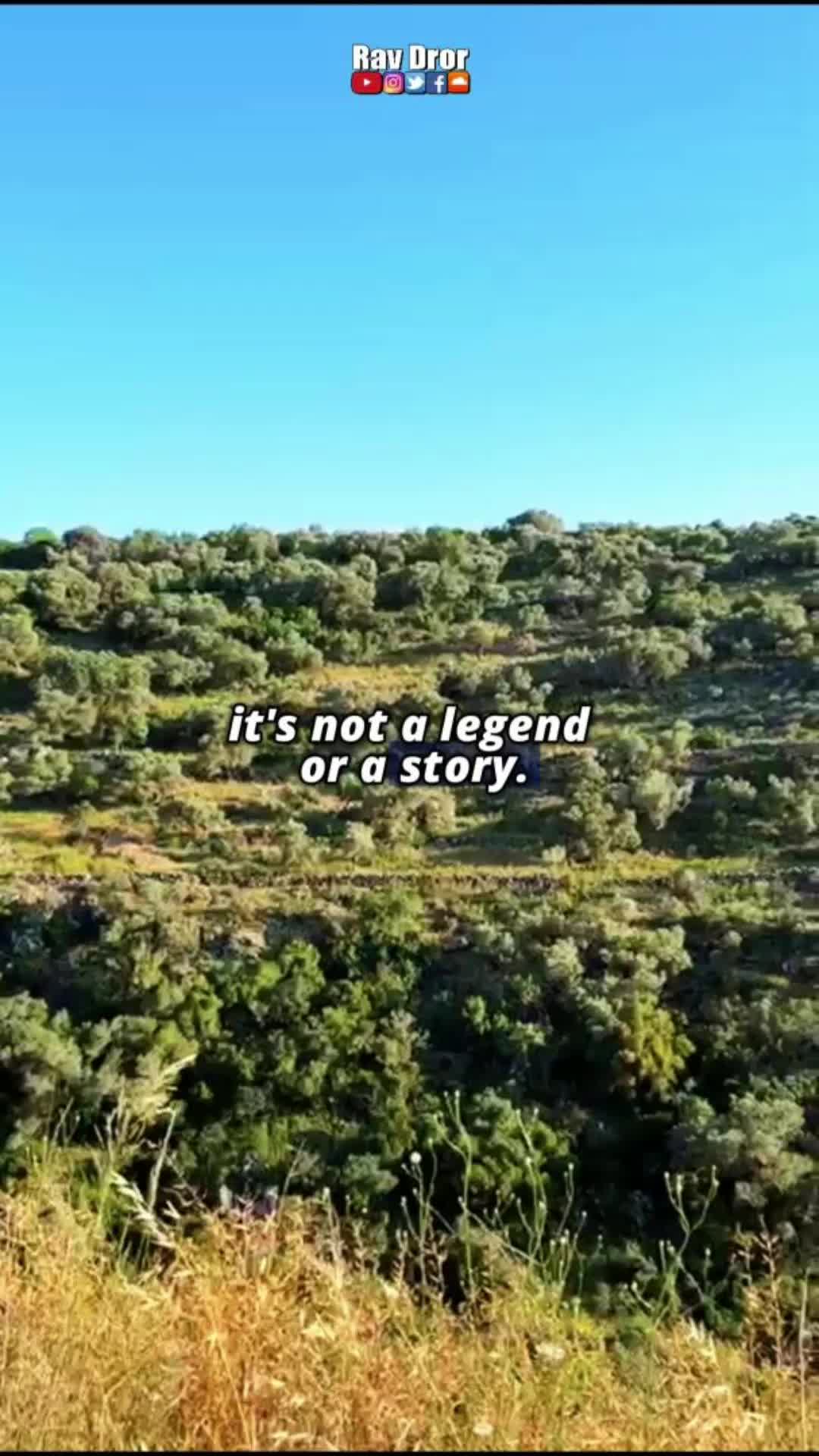 @Rav Dror