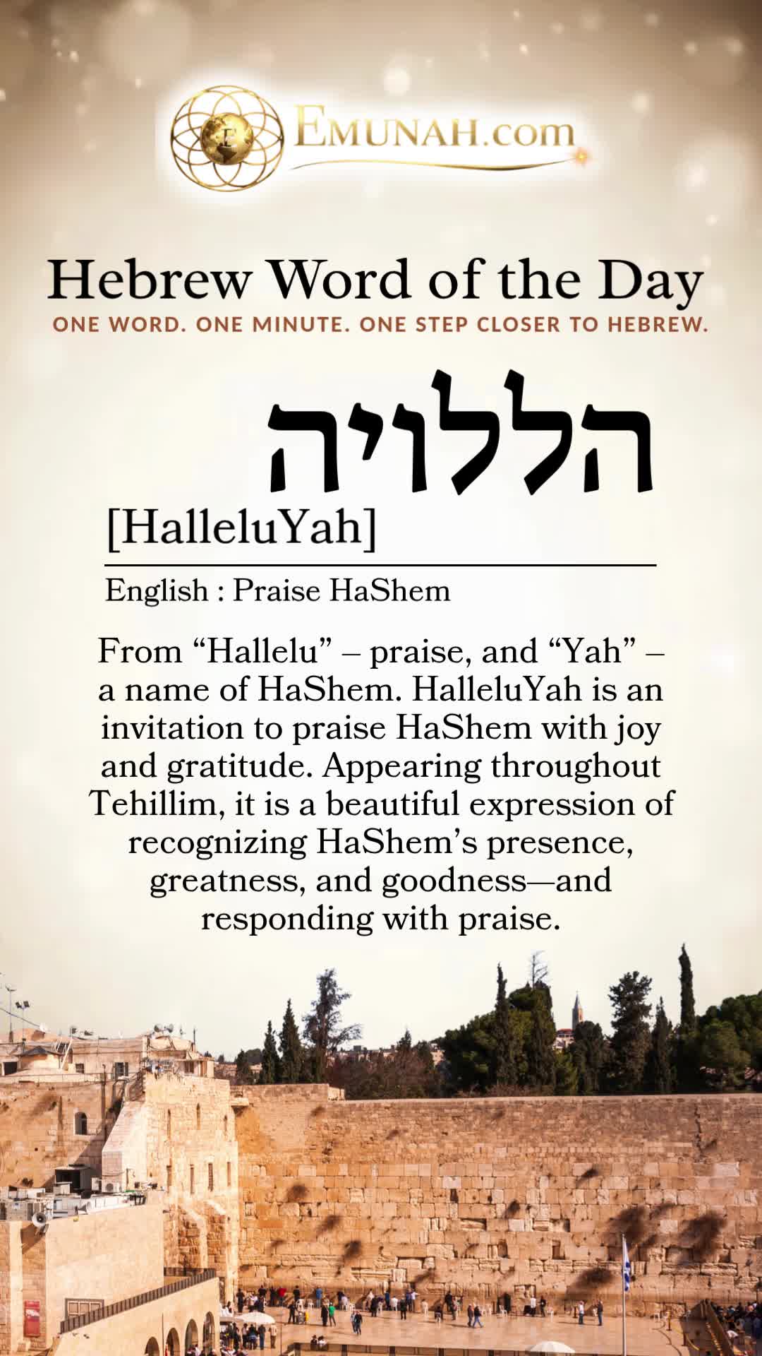 @Rav Dror