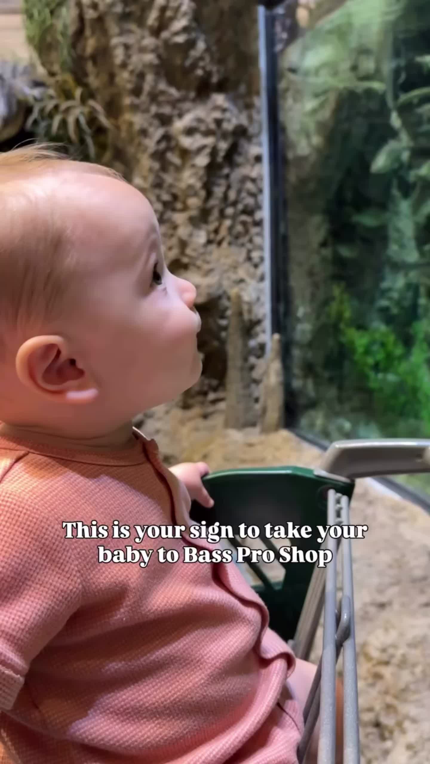 @bassproshops