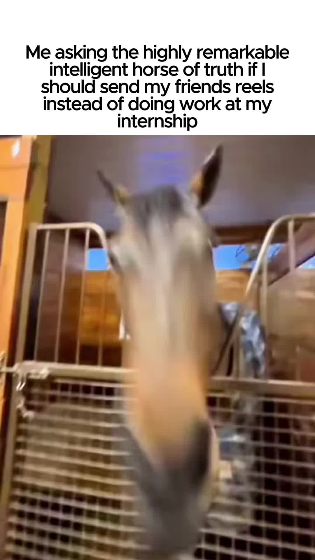 @Finance Bro