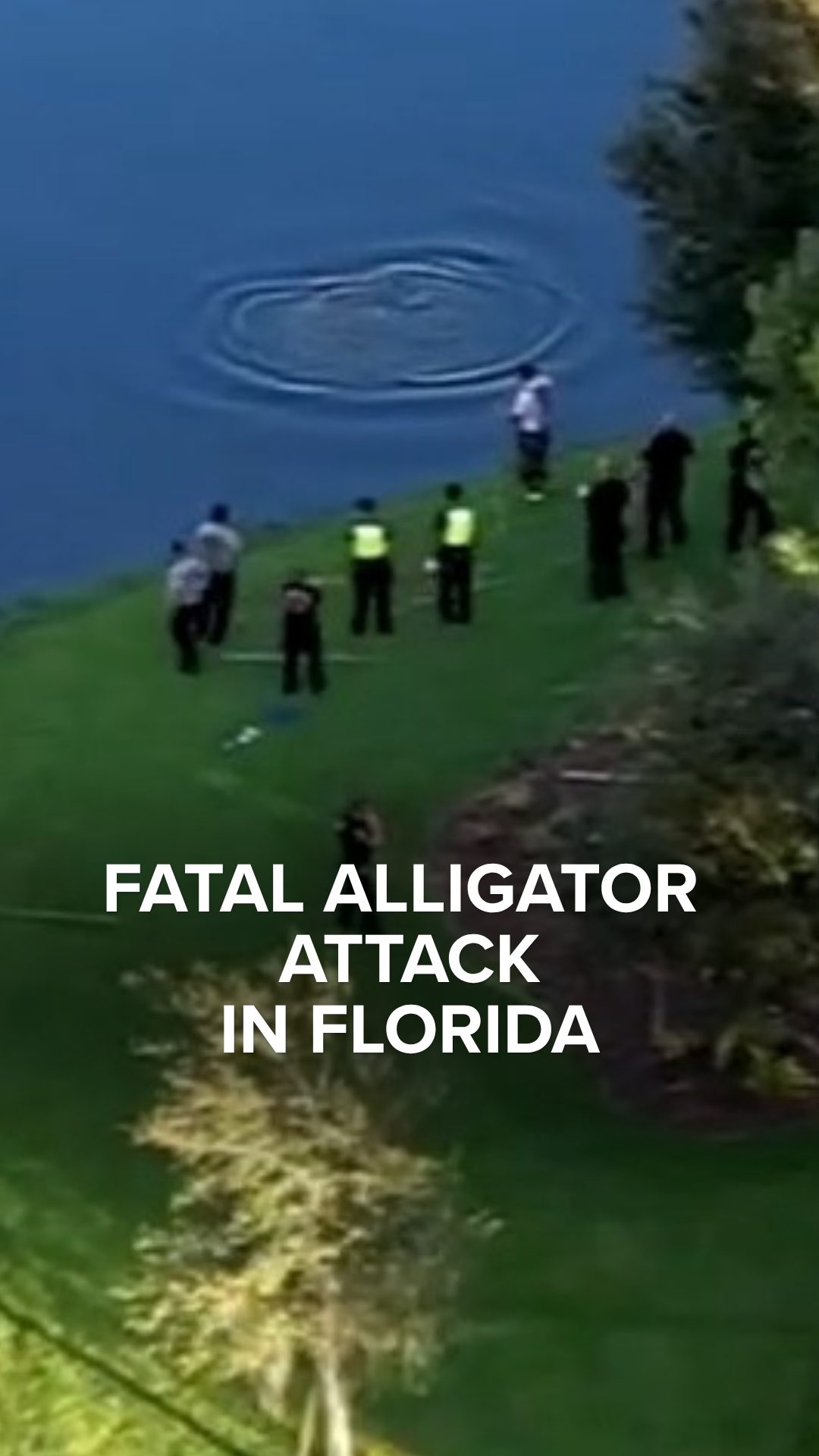 @ABC World News Tonight