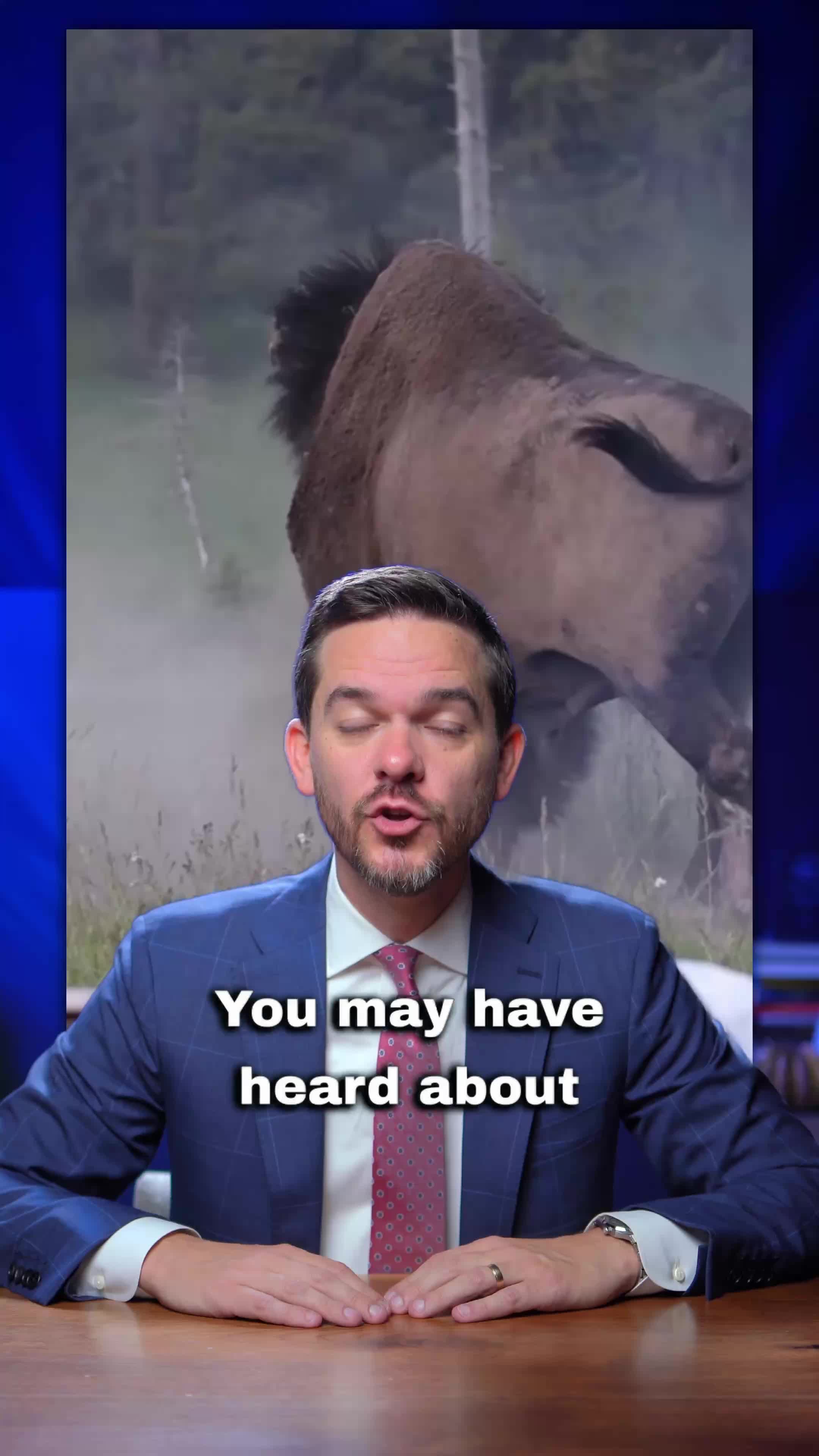 @Mike Rafi