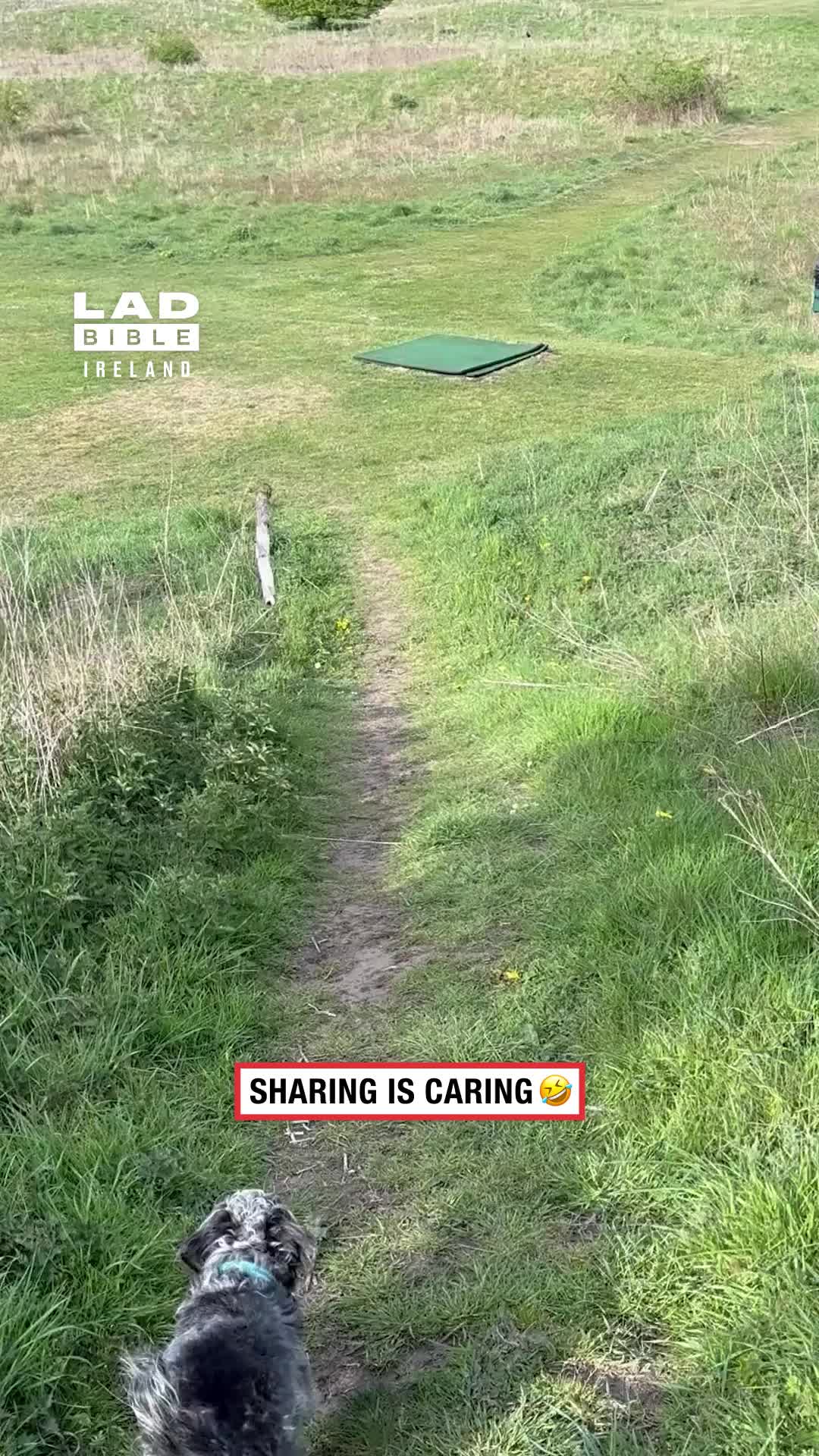 @LADbible Ireland