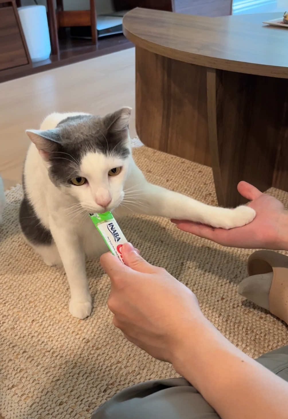 @Mimi Wawa Meow