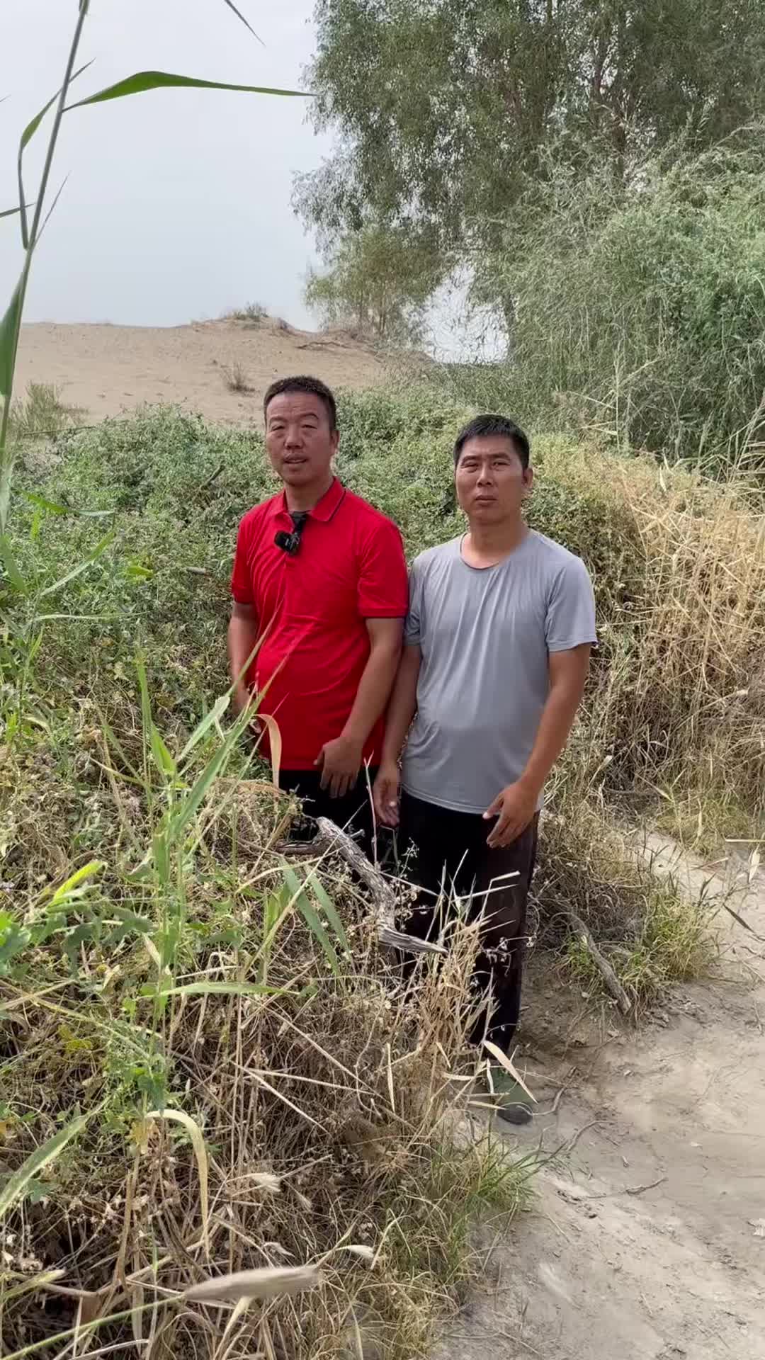 @疆果果新疆特产