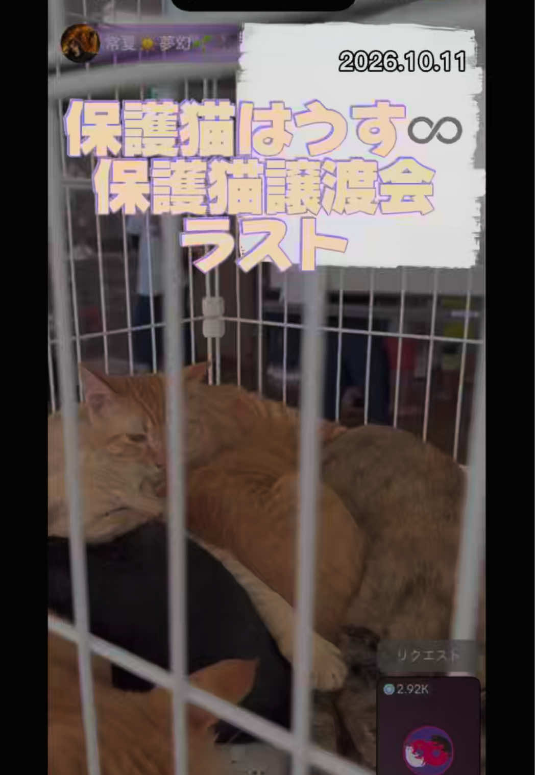 @すずか🧊🫧