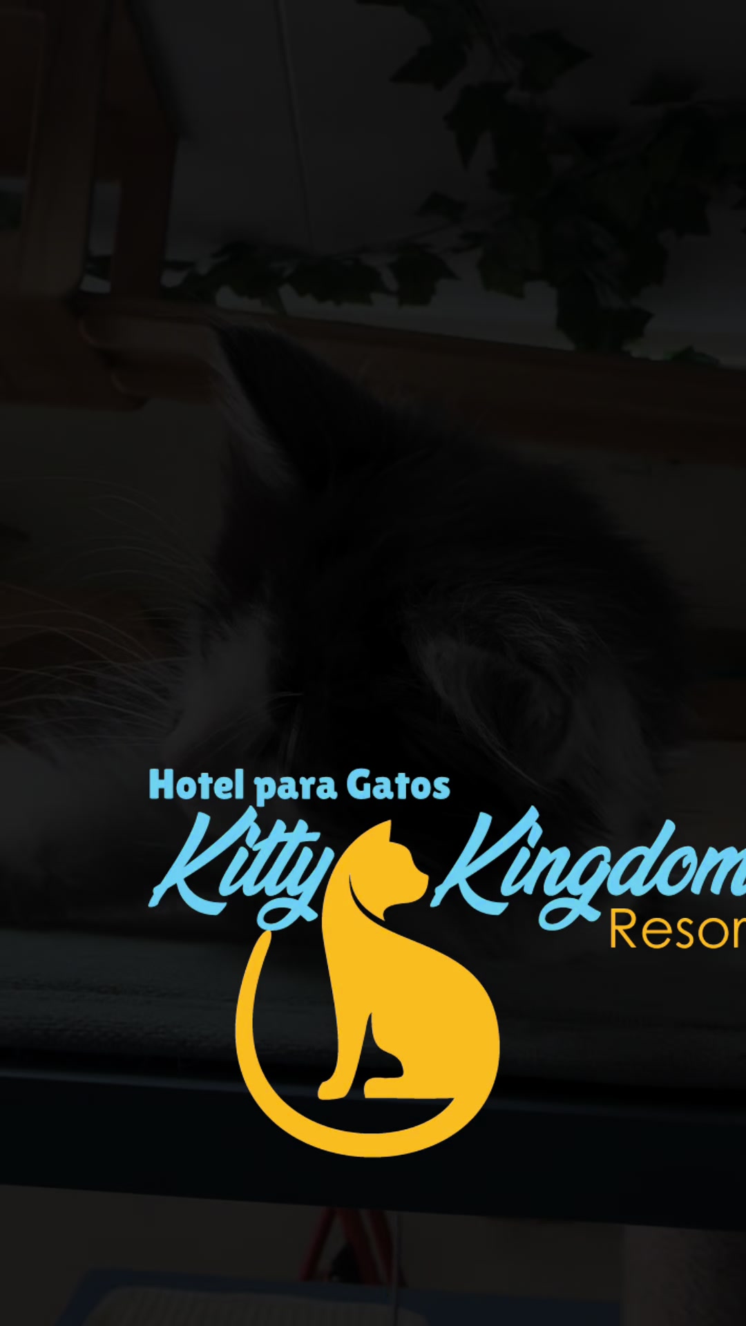 @Hotel Kitty kingdom Resort