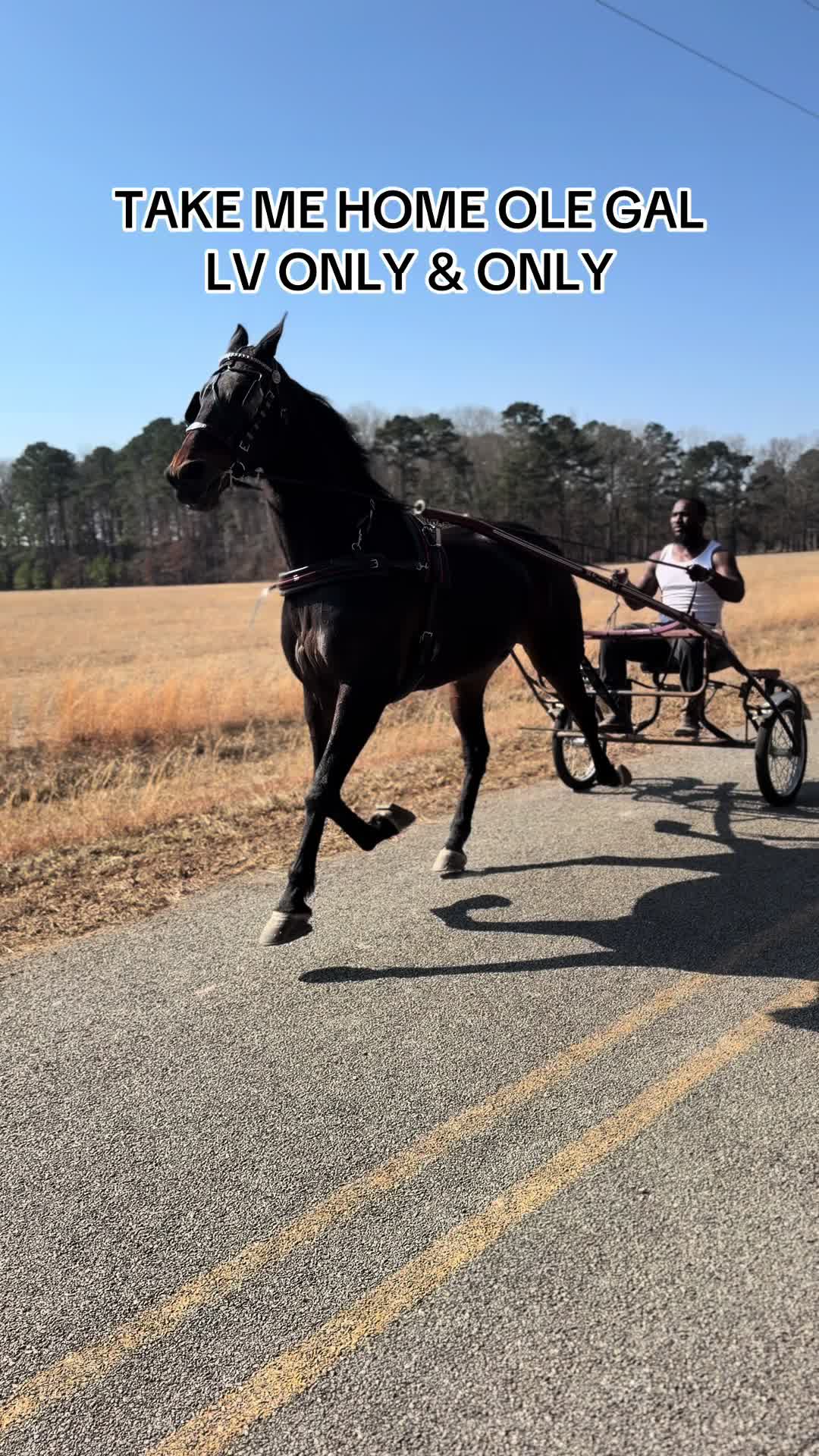 @Devin White ๐ GetLiveStables