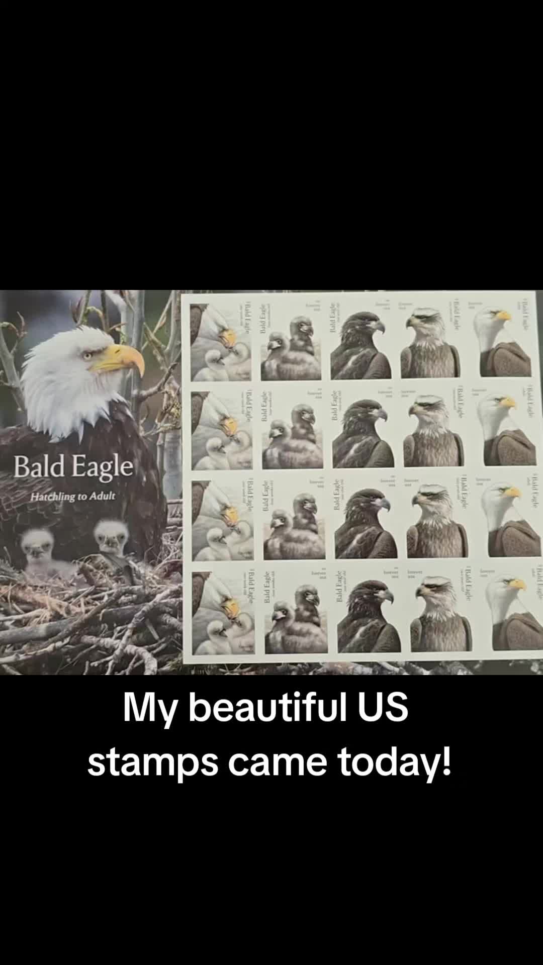 @llovelylenore🦅🦅🦅🦅