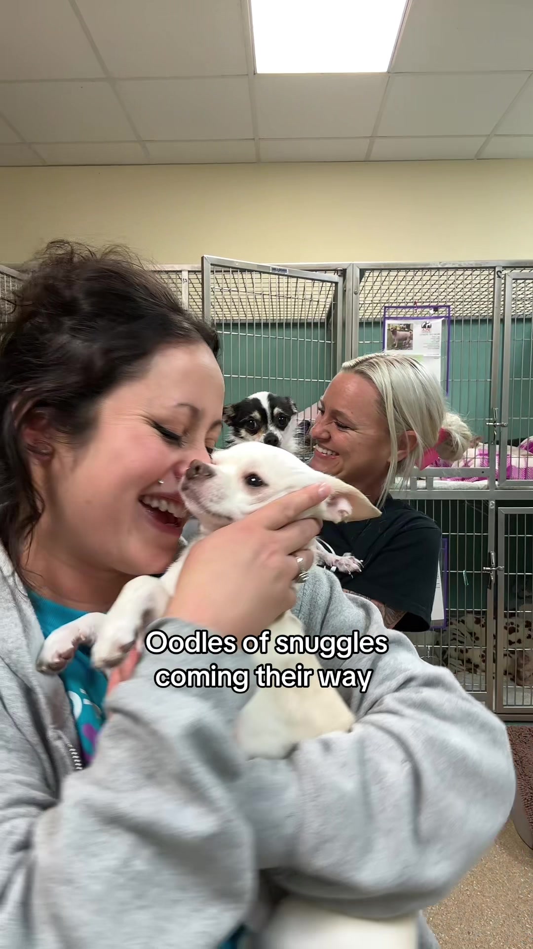 @2vettechs