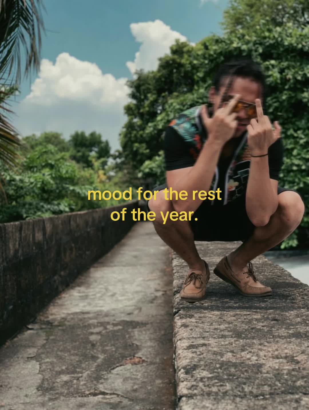 @moy.🐾