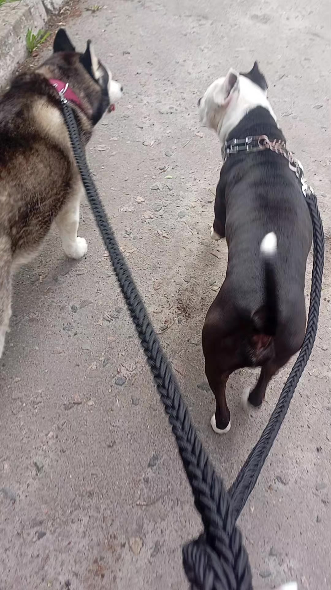 @Мать Стаффа