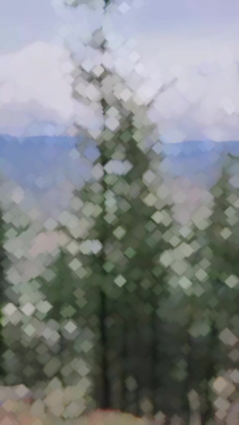@Abdul hamid khan