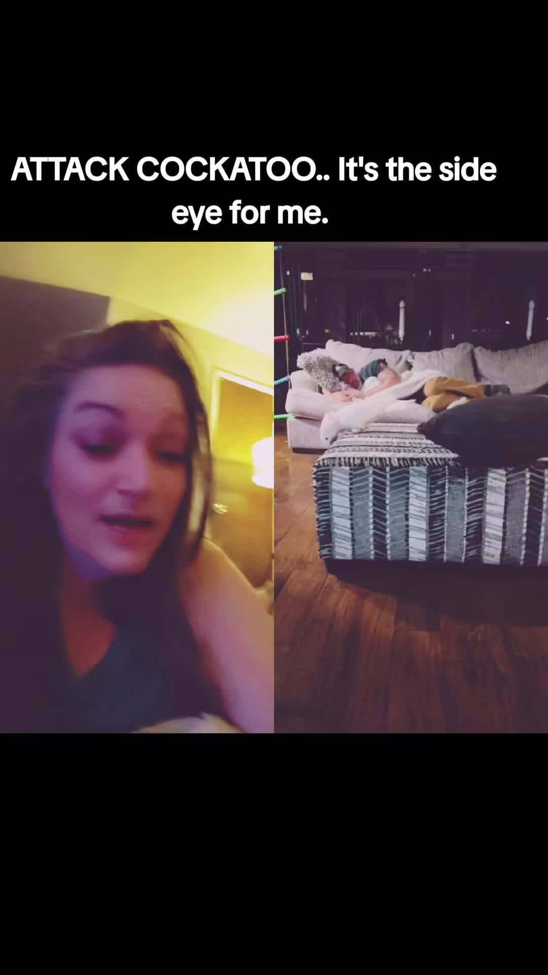 @Tanaya  Marie