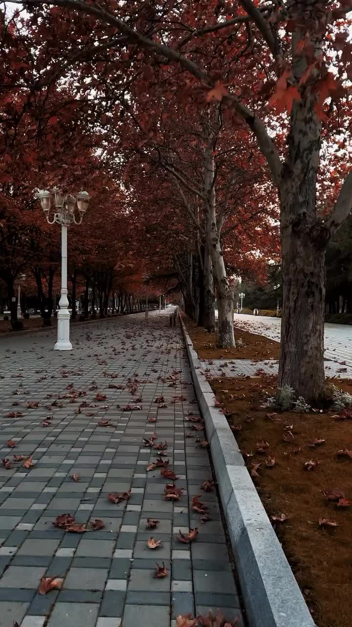 @user.gencem