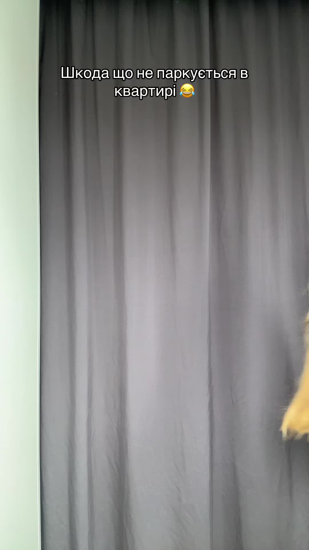 @伊万卡
