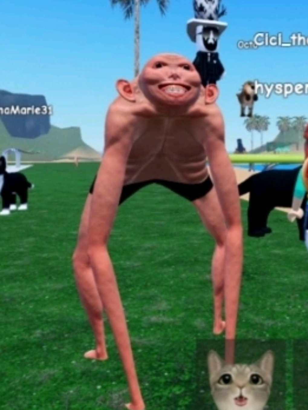 @hysperia