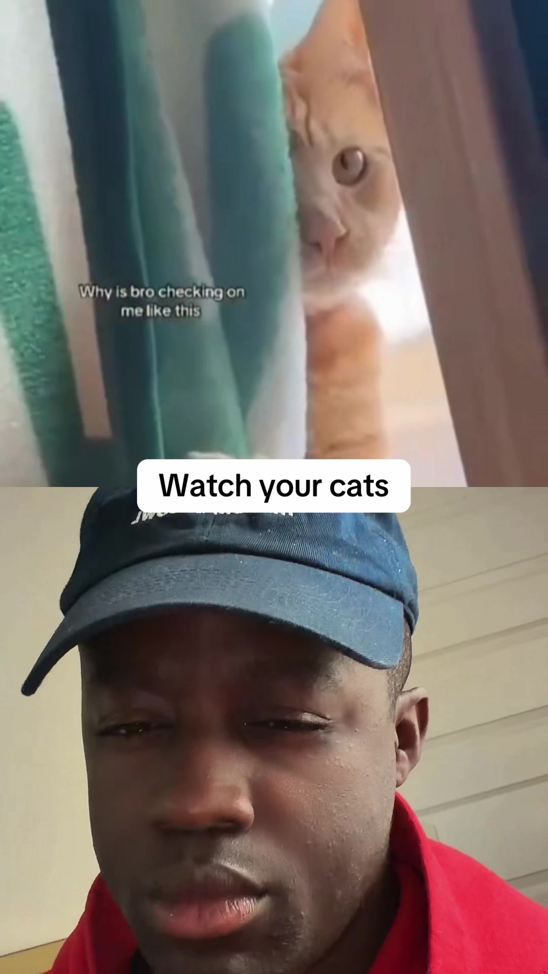 @jeylloydd