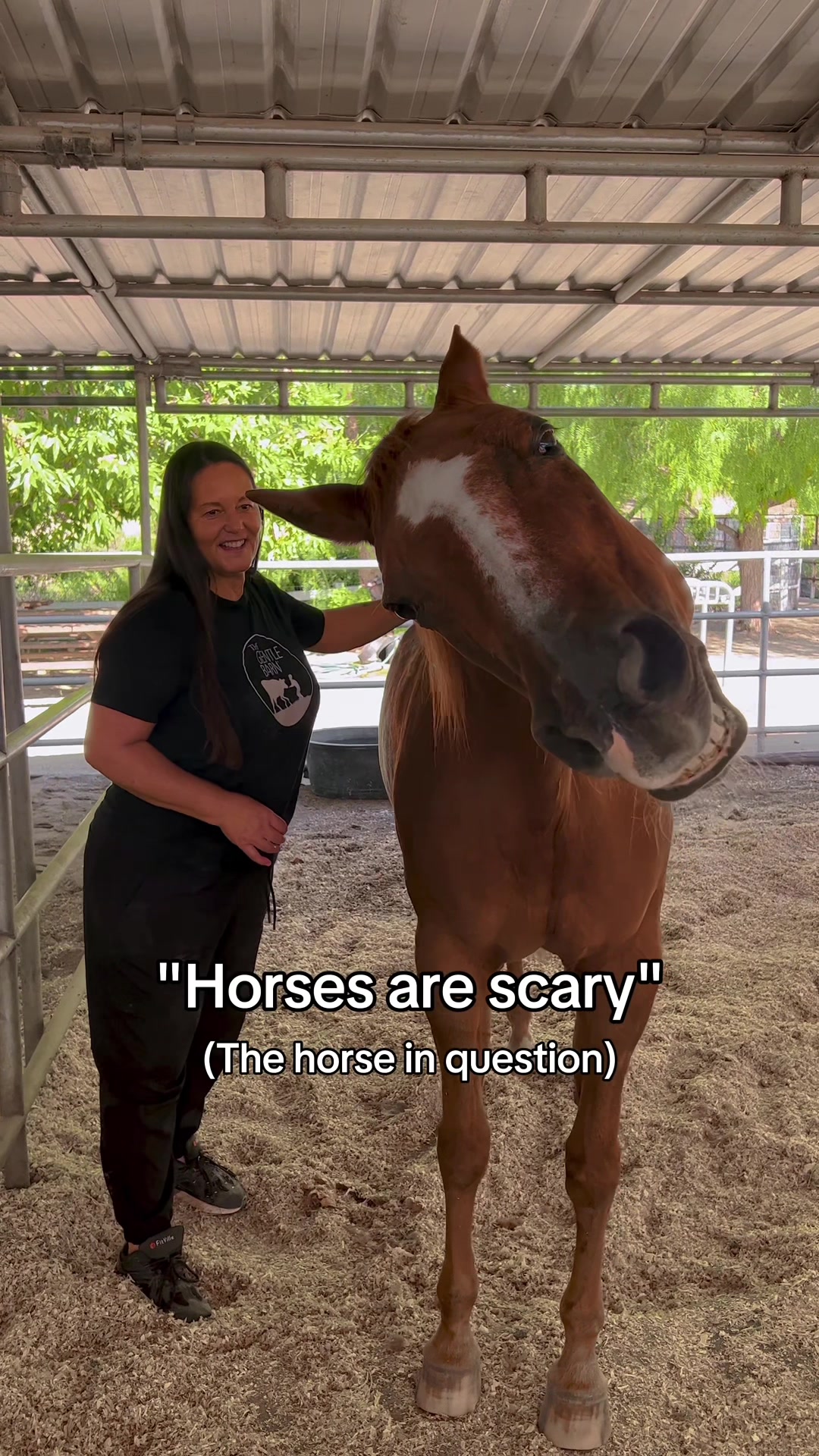 @The Gentle Barn | Sanctuary