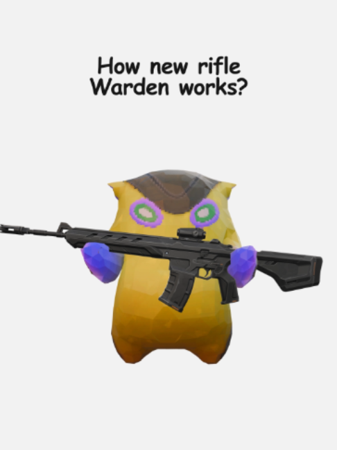 @VALORANT