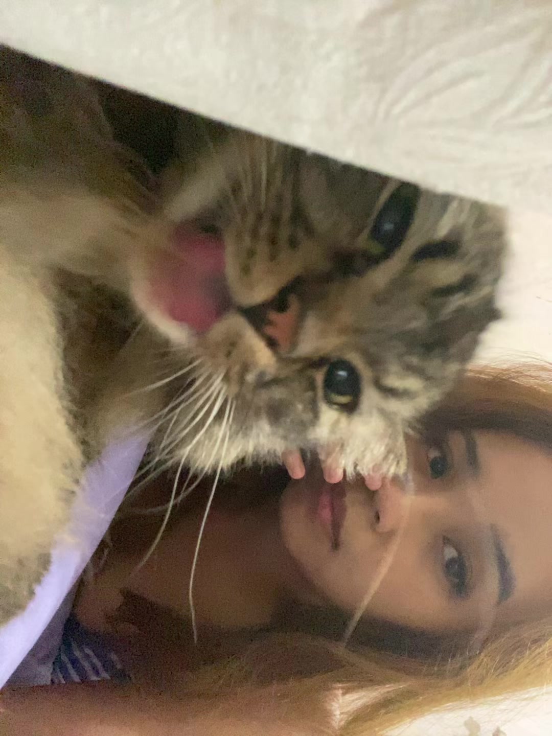 @dindaoli