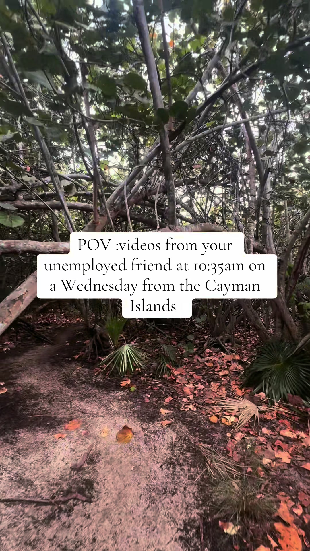 @CaymanPhotography