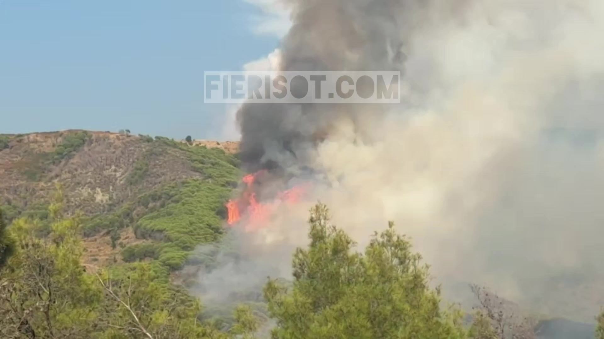 @Fieri Sot