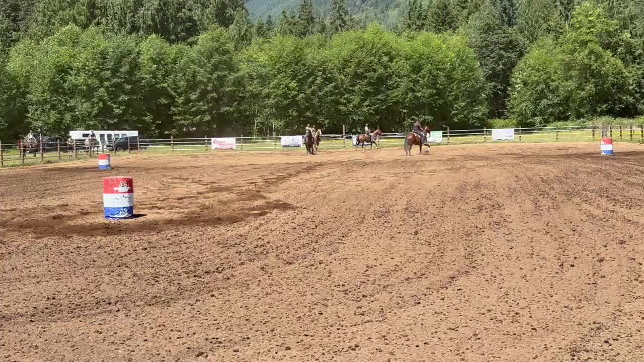 @TF Performance Horses