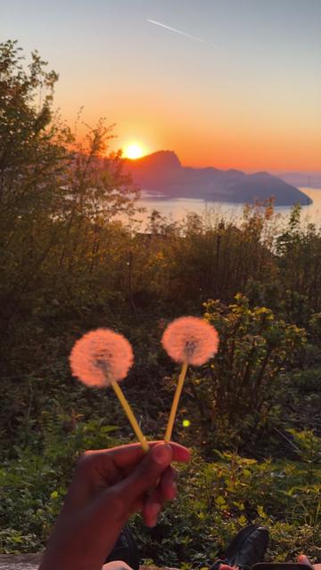 @🍀🇨🇭ĹOS ĹOcOS ScĤw𝐞iz🇨🇭🍀