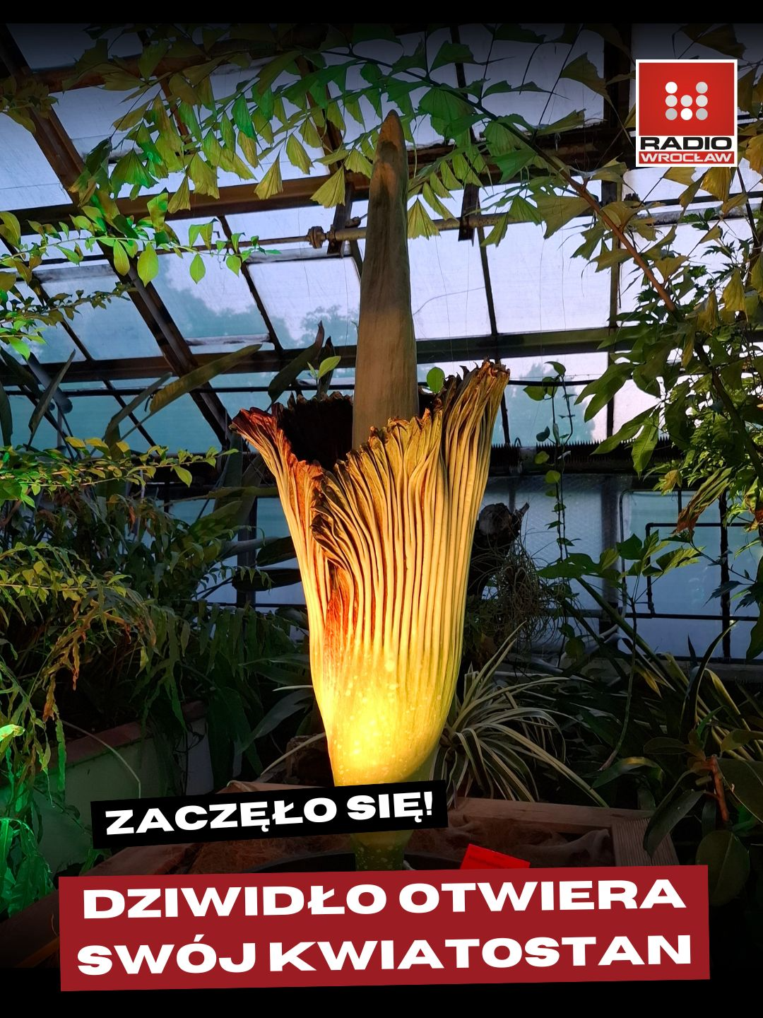 @Radio z Dolnego Śląska
