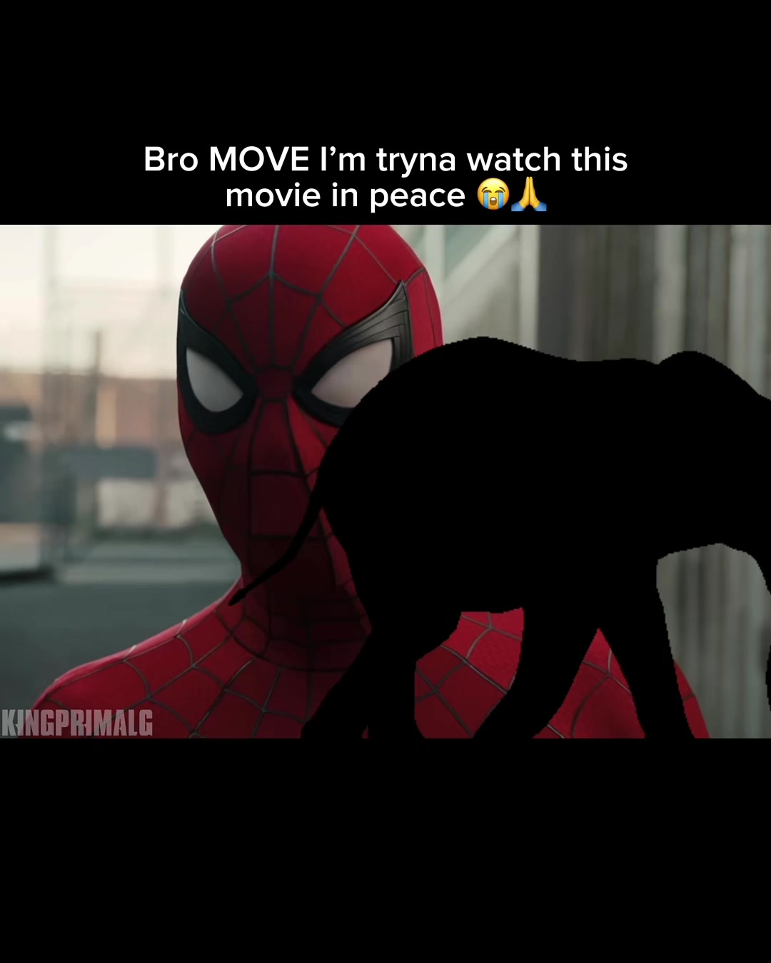 @KingPrimalG