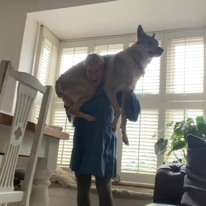 @Warwicks Wolfdog