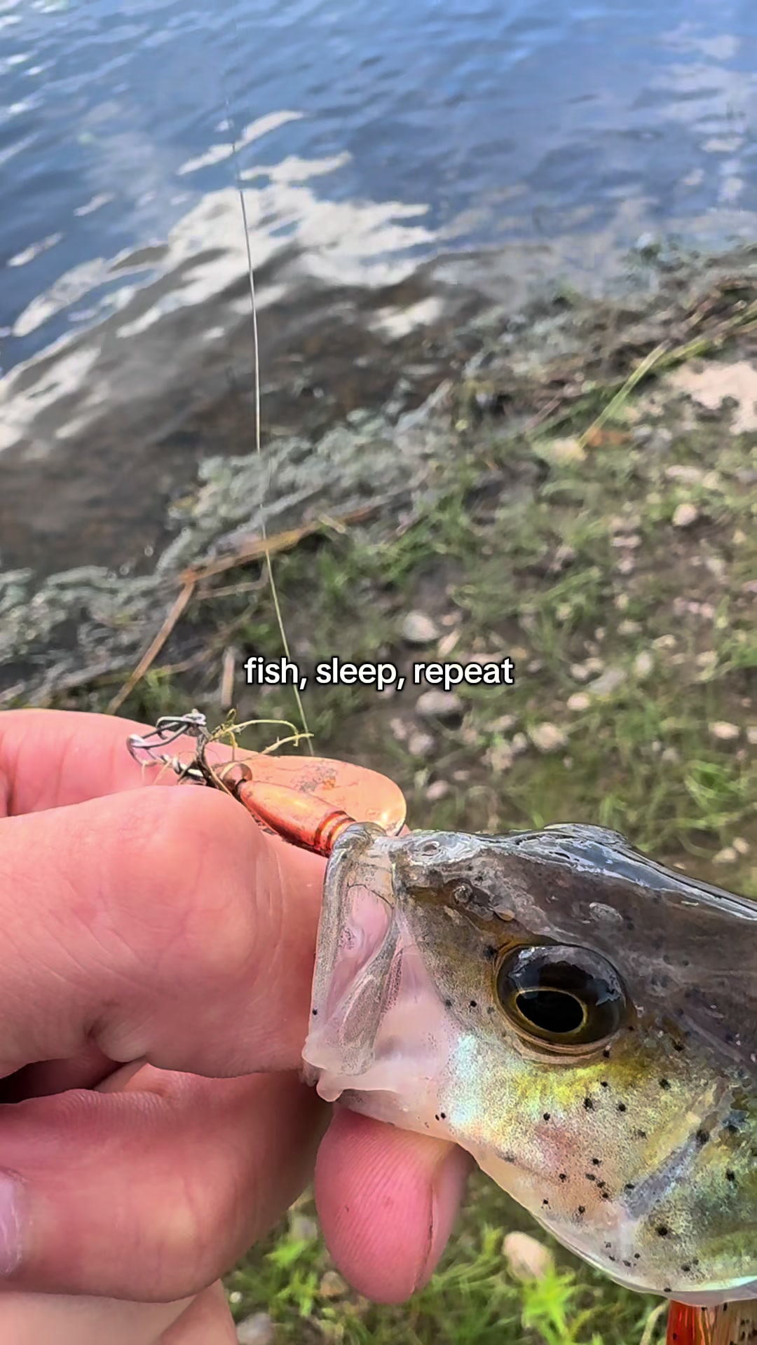 @Fishing With Alekss 🎣💎