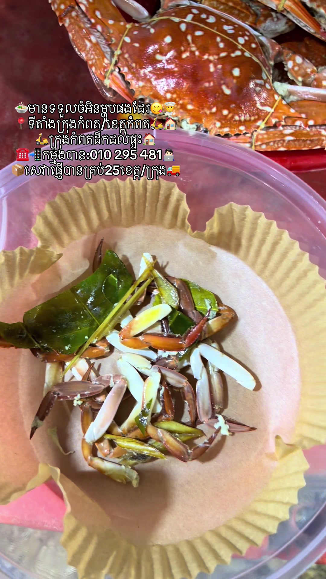 @កំពតគ្រឿងសមុទ្រ