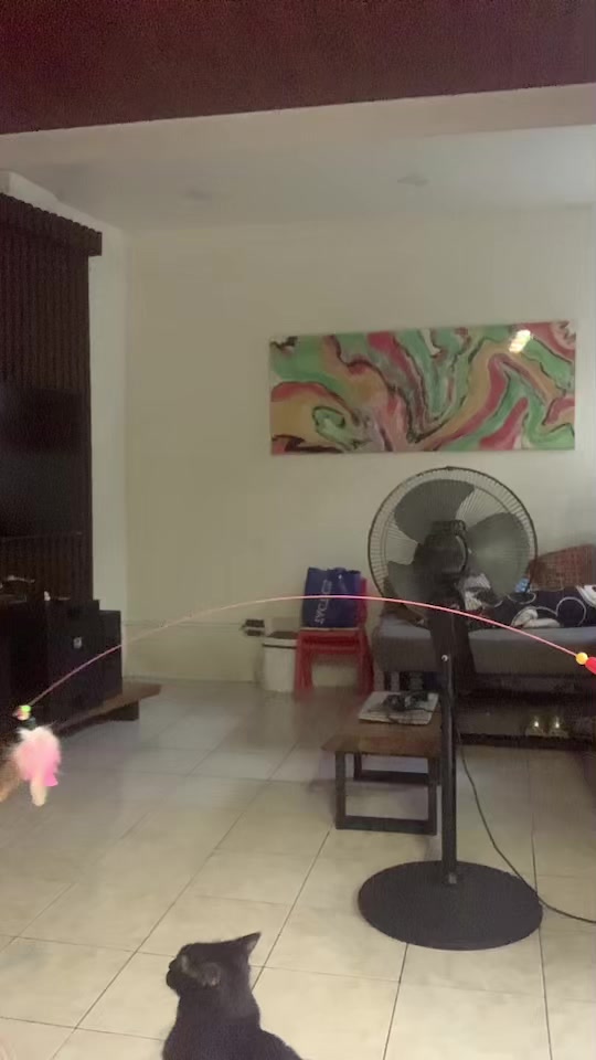 @ASIsiw