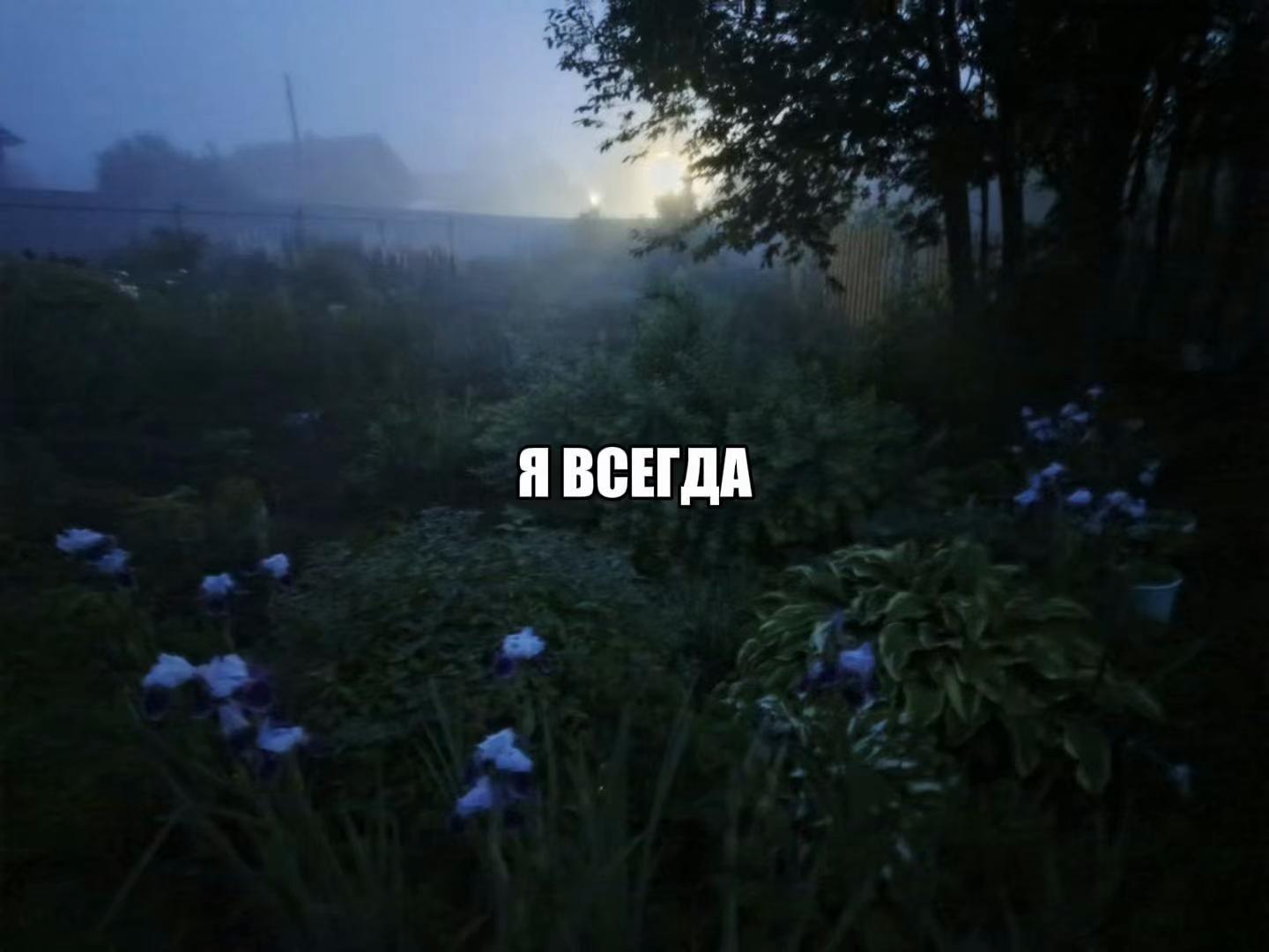 @звуки для липсингов///