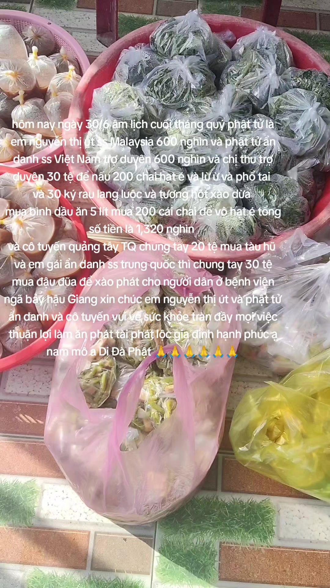 @nh&oacute;m tn diệu hạnh bỏ c&ocirc;ng sức