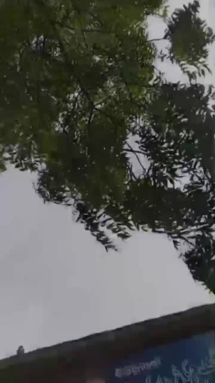 @رائے نعیم یاسین کھرل