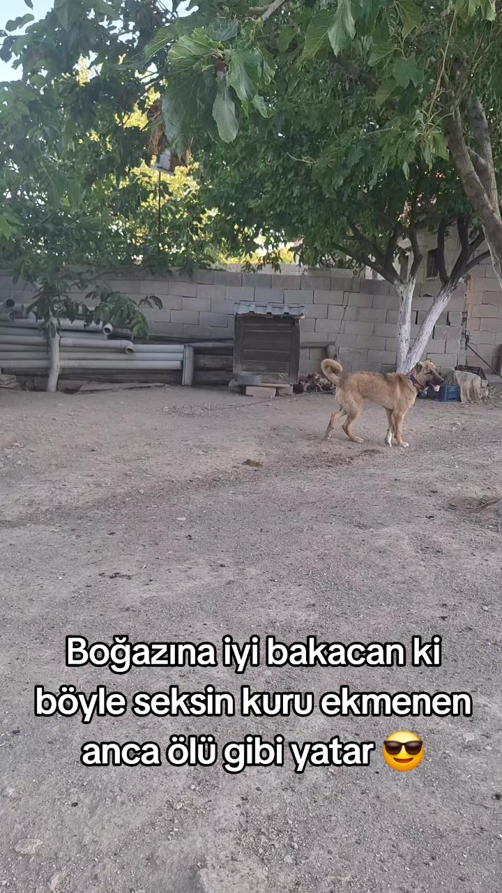 @İsmail_Filik_42