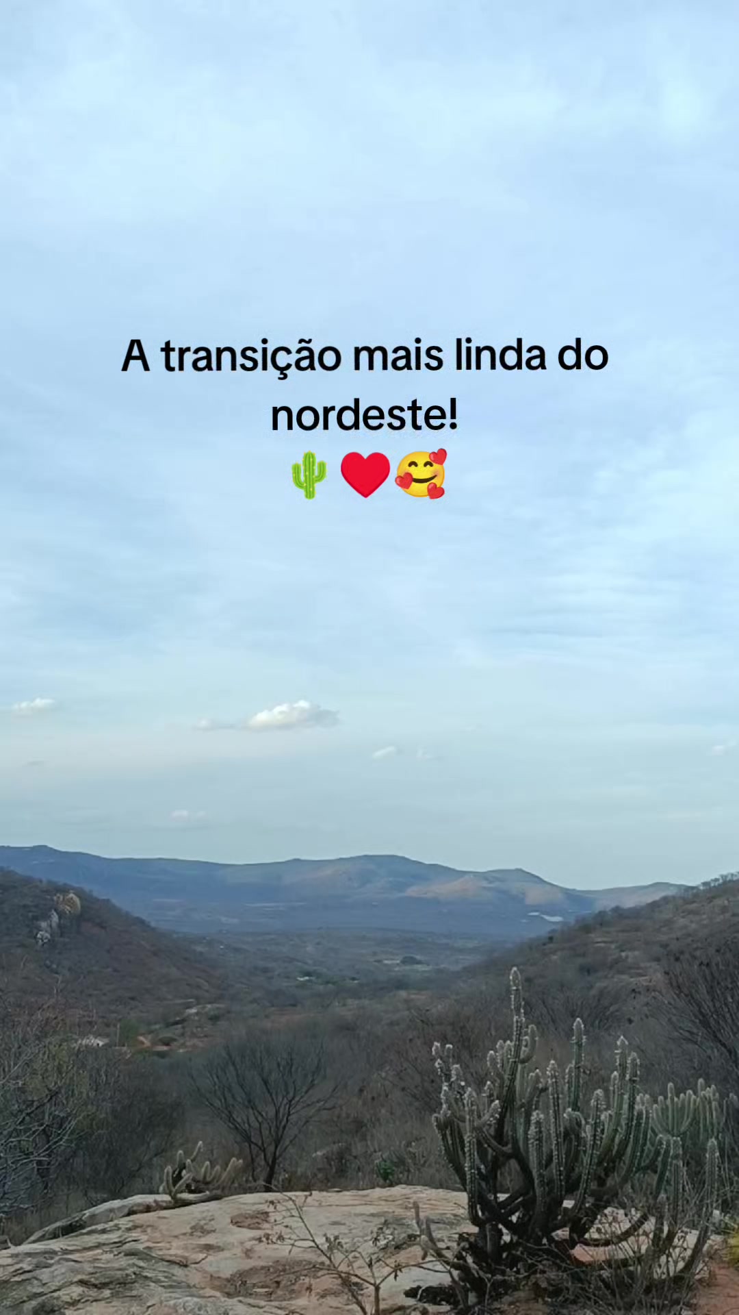 @NordesteCapturado