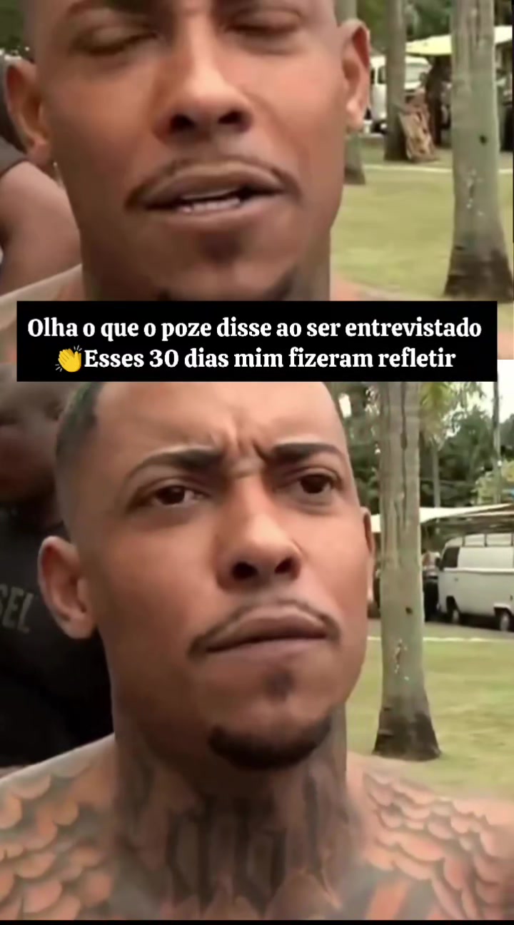 @musicas exclusiva da ws