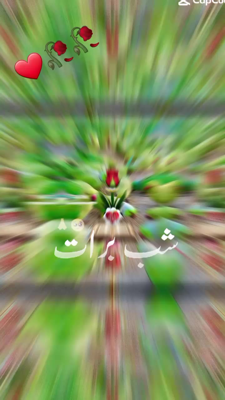 @JABUMMAA