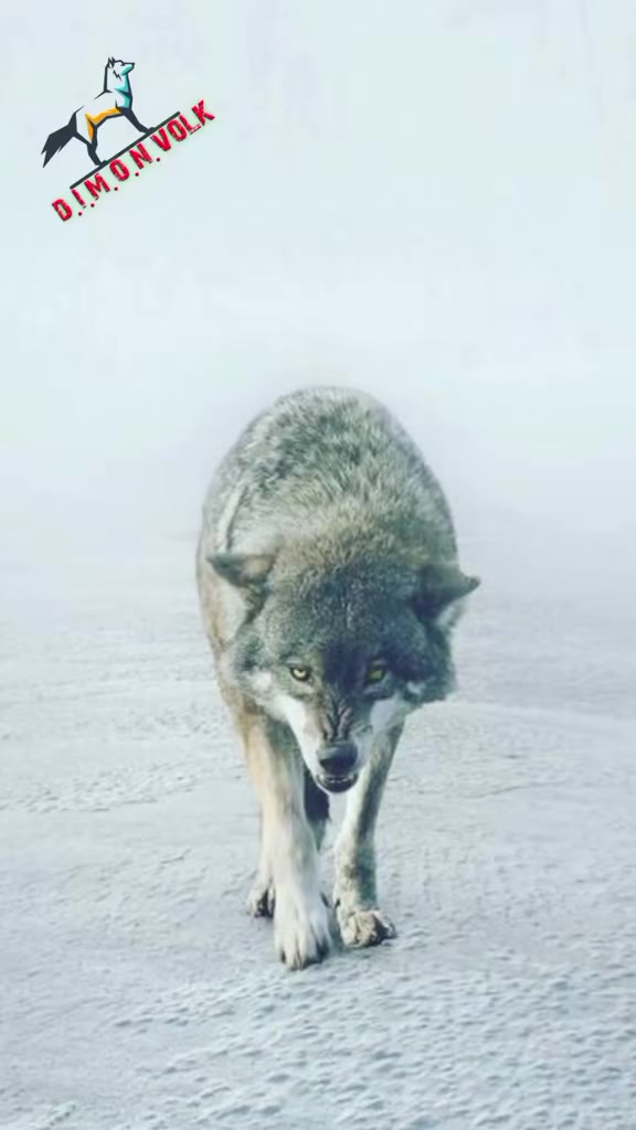@✸Димон_Волк✸
