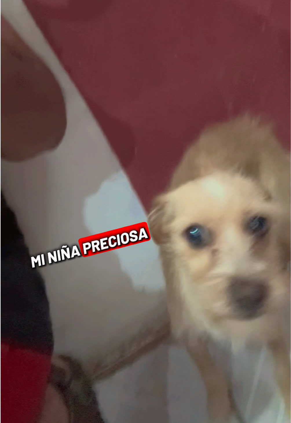 @ElSamu Oficial